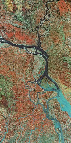 Satellite View of Ganges